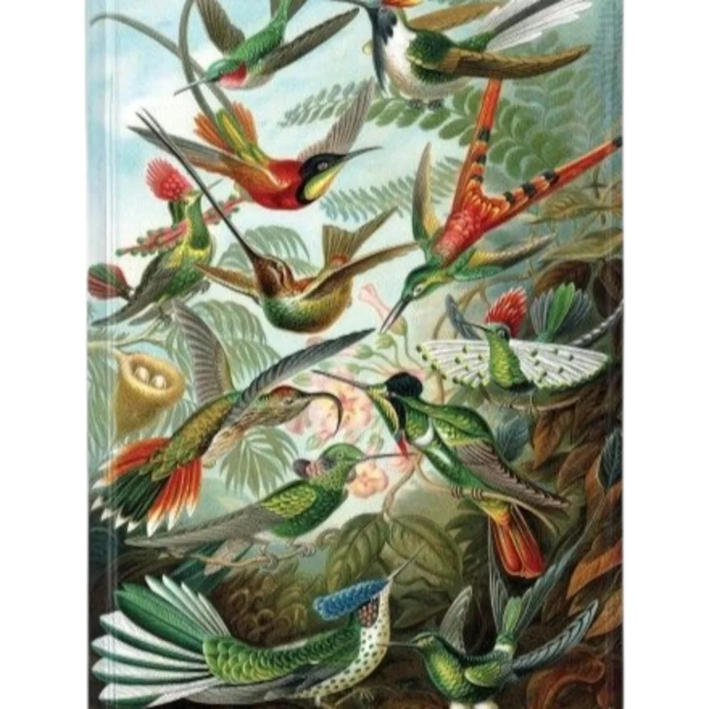 NWT - Ernst Haeckel - Hummingbird Art Hardcover Journal Notebook